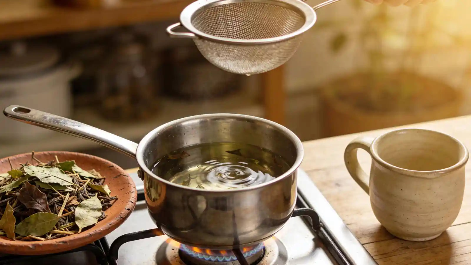 Comment utiliser les feuilles de djeka : tutoriel complet étape par étape