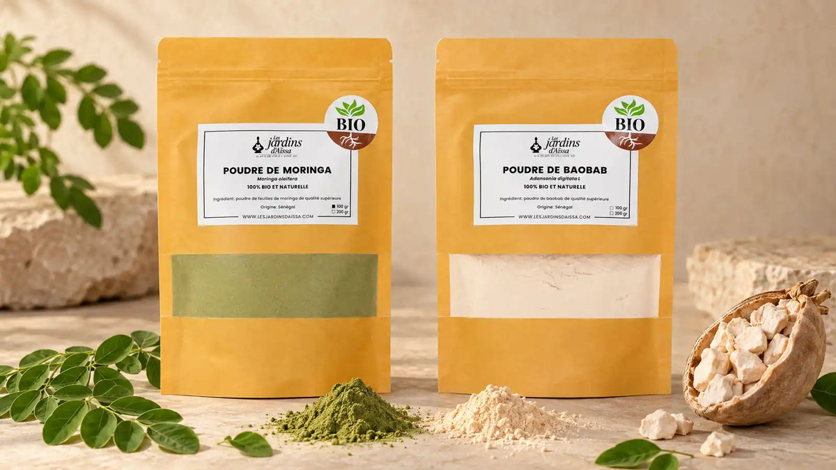 Poudre de moringa ou poudre de baobab : lequel choisir ?
