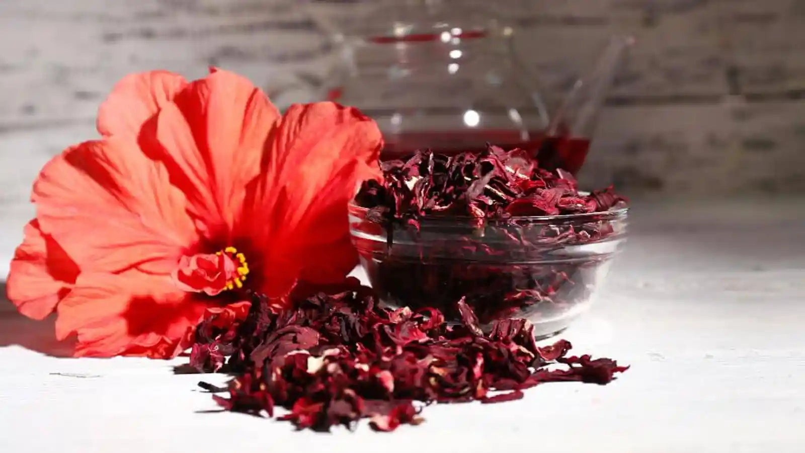 Les Bienfaits des Fleurs d'Hibiscus Bio : Un Trésor pour Votre Santé