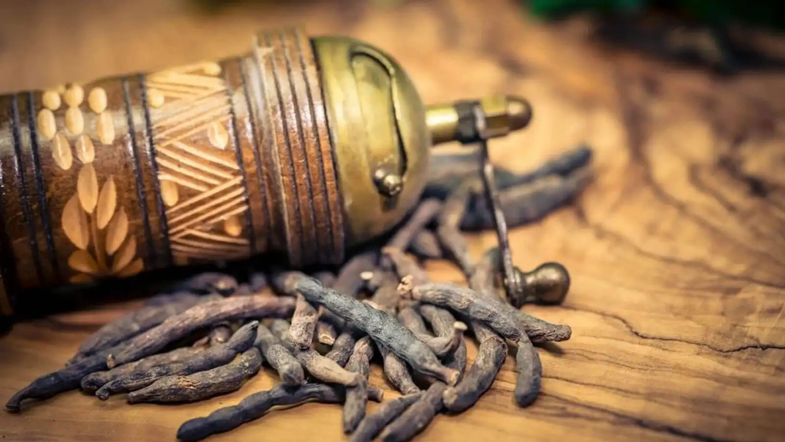 Le poivre long Selim : bienfaits, propriétés et idées d’utilisation