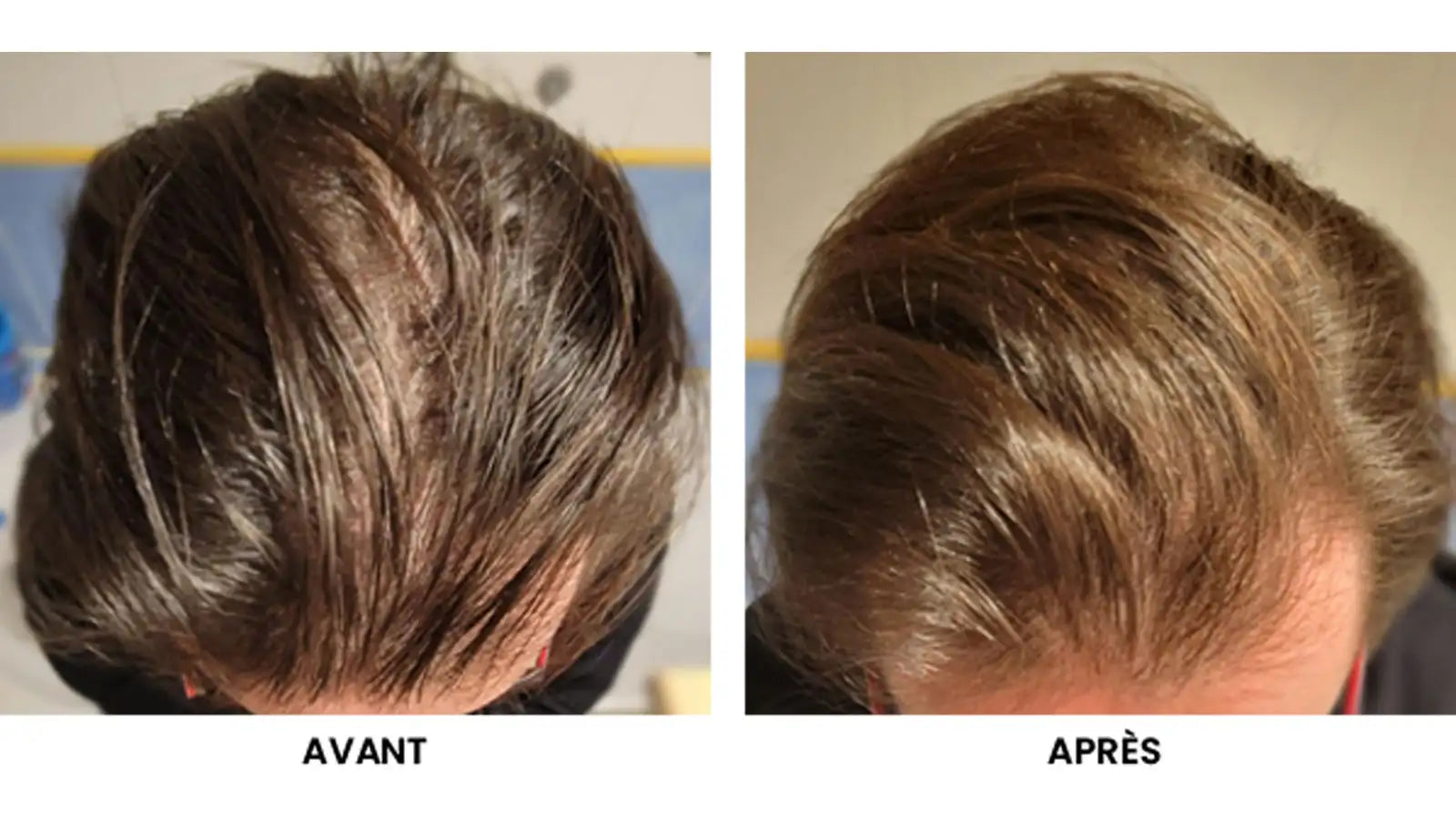 Shampoing solide bio aux poudres d'afrique : le secret naturel pour des cheveux sublimes !