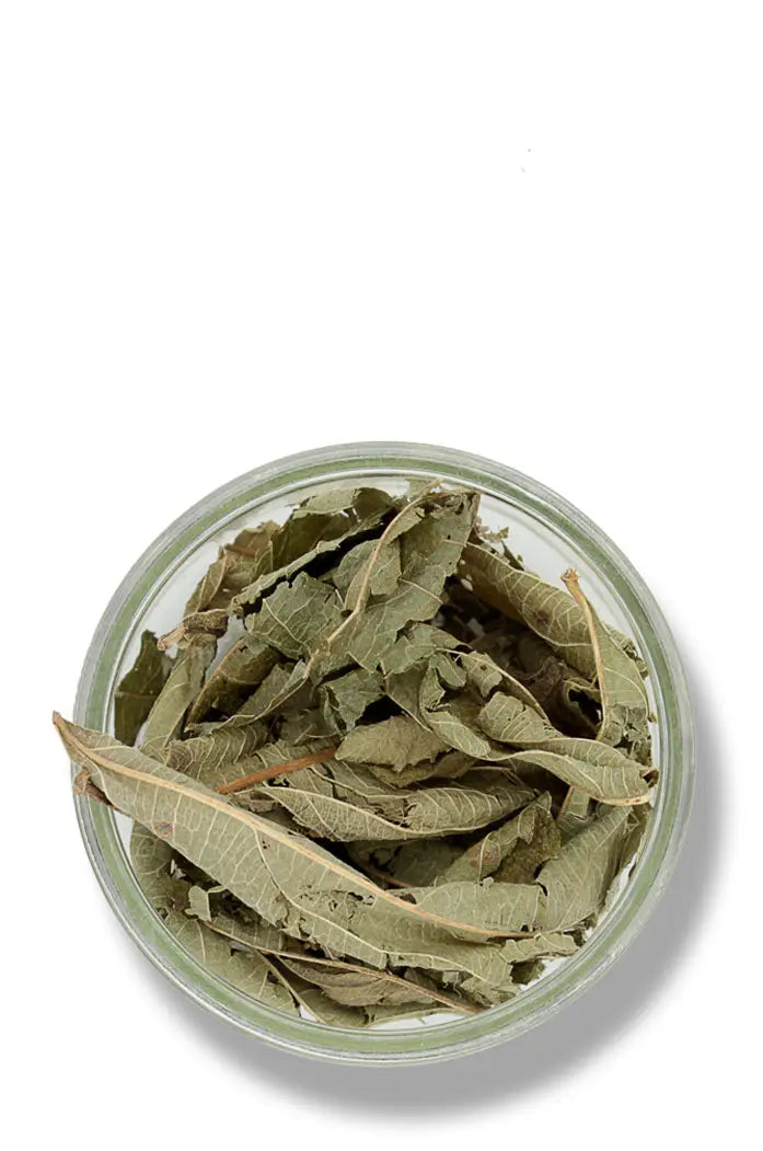 Feuilles de thé de gambie Bio Douté Gambie lantanier details