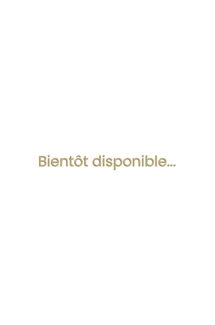 Infusion bio de moringa et menthe pastille en sachets