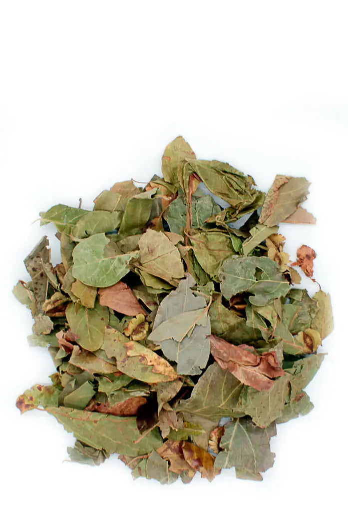 feuille de kinkéliba bio séchées du sénégal les jardins aissa 2