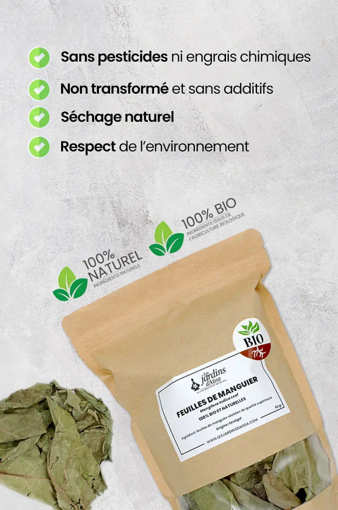 Feuilles de manguier séchées bio et naturelles - Qualité supérieure nature