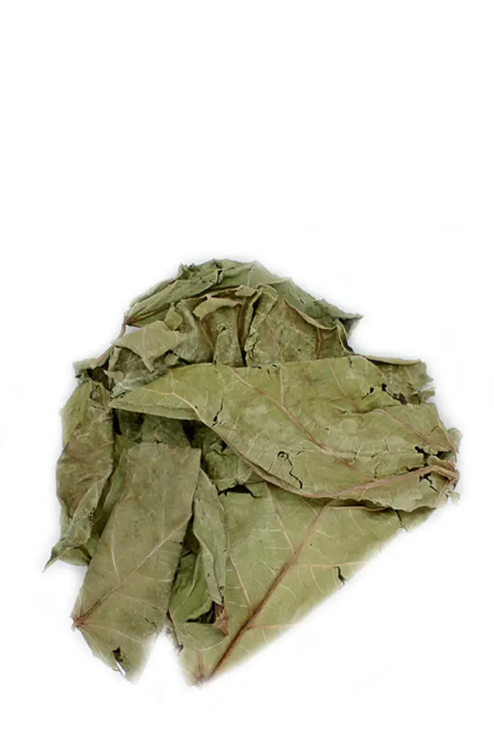 Feuilles de manguier séchées bio et naturelles - Qualité supérieure - 50 gr feuilles