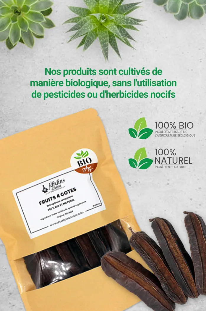 fruit 4 cotés bio naturel éssésse fertilité les jardins d'aissa nature