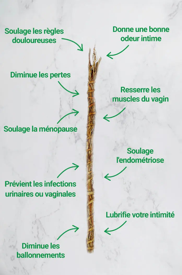 racines de vetiver khamare gongolili bio naturelle les jardins aissa points fort