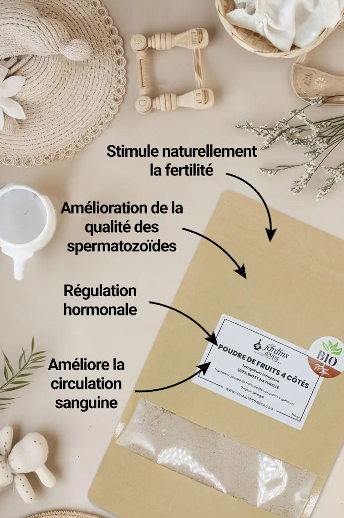 Poudre de fruit 4 côtés bio et naturel Essèssè Esese de Qualité supérieure les jardins d'Aissa bienfaits