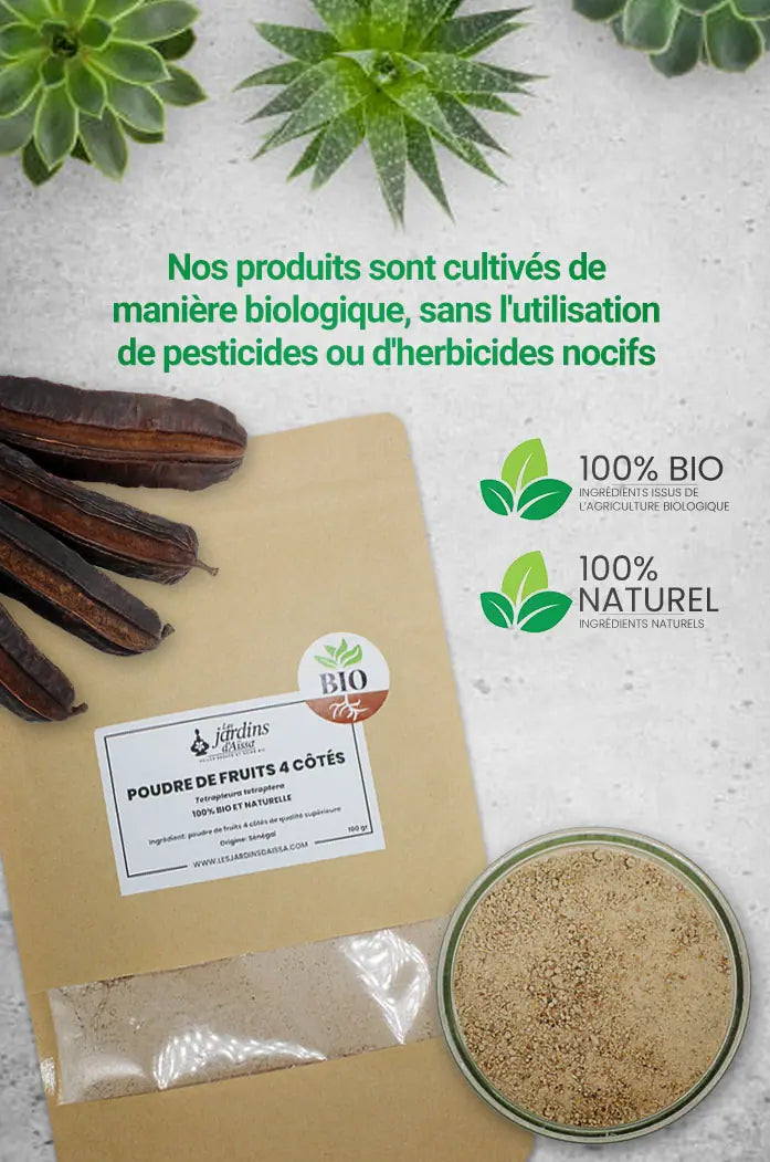 Poudre de fruit 4 côtés bio et naturel Essèssè Esese de Qualité supérieure les jardins d'Aissa nature