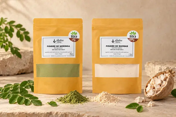 Poudre de moringa ou poudre de baobab : lequel choisir ?