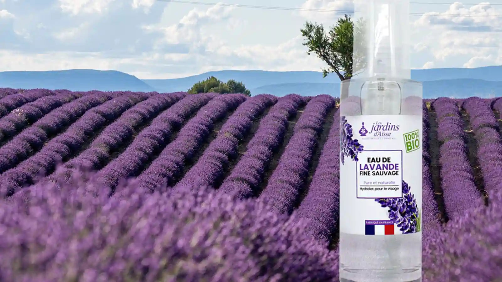 L'eau de lavande bio fine sauvage : un allié naturel contre l'acné