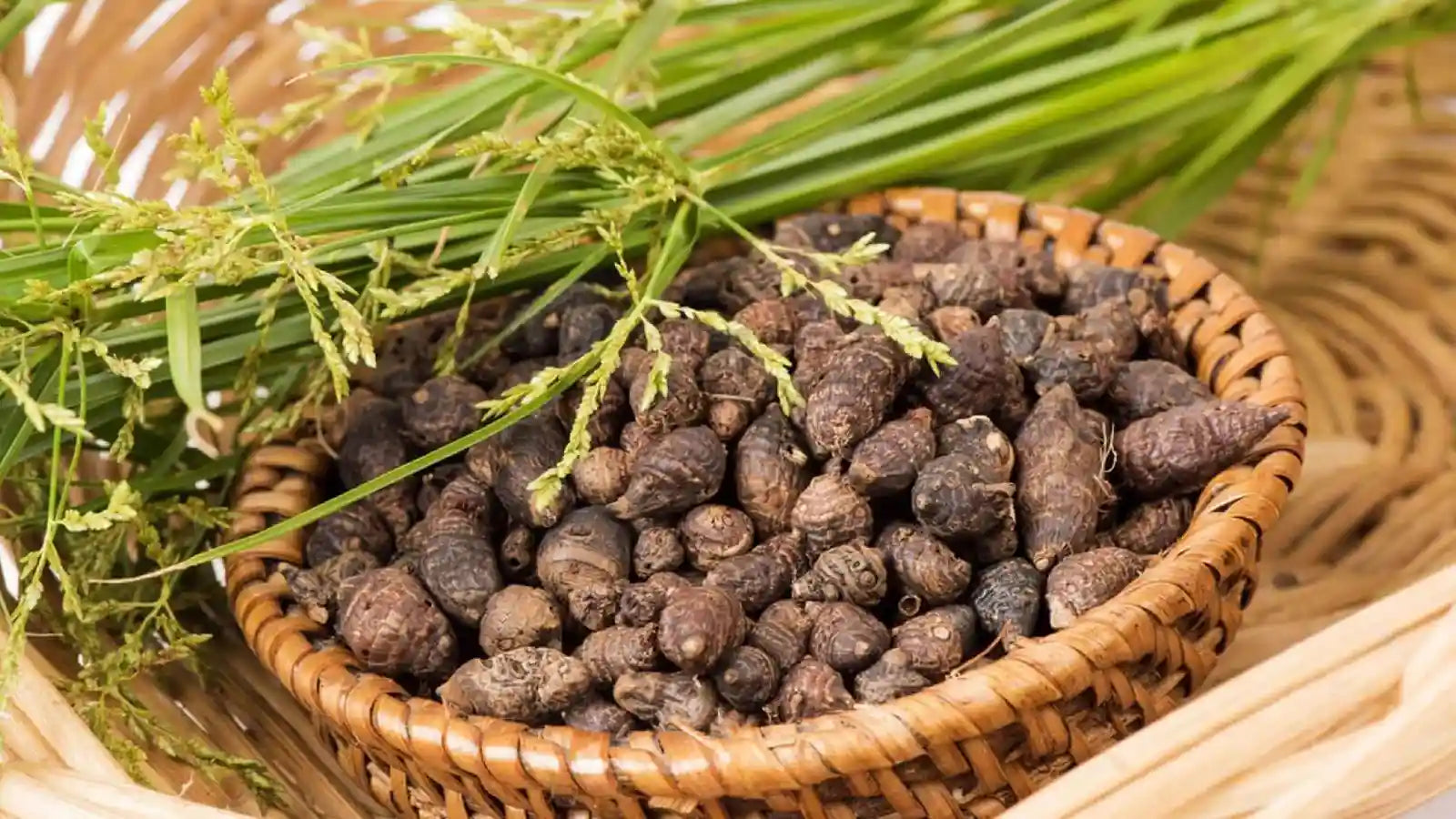 Les bienfaits des graines de Gowé bio et comment les consommer