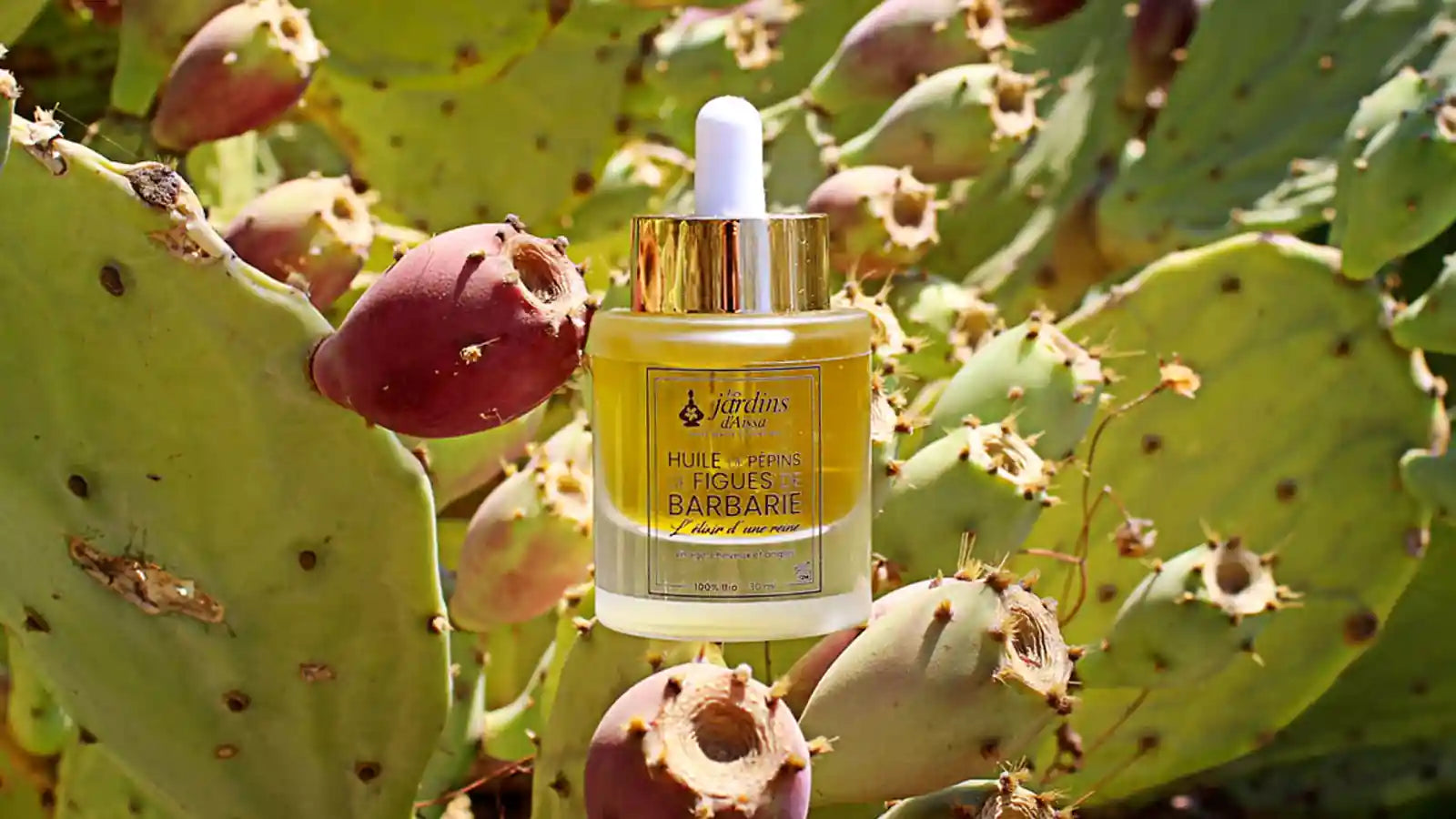 Les bienfaits de l'huile de pépins de figue de barbarie bio : un trésor pour votre peau et votre santé