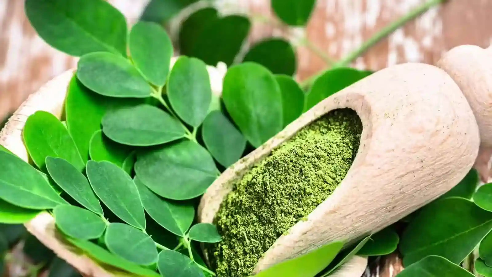 Les Bienfaits de la Poudre de Moringa Bio : Un Superaliment à Découvrir
