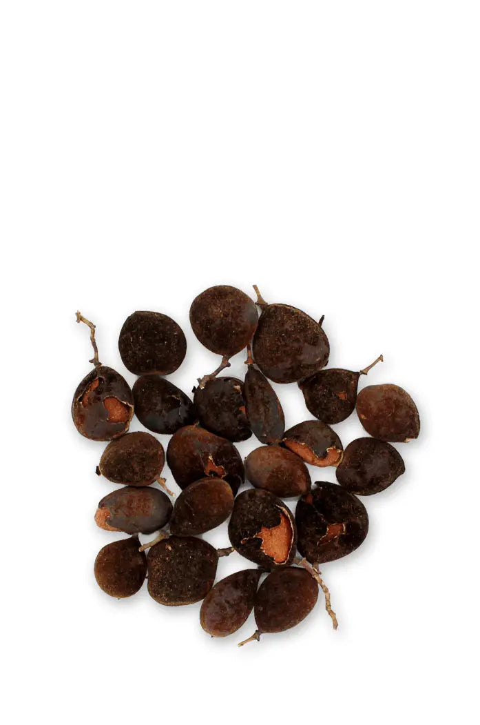 Poudre de Tamarin Noir Tamarinier Solom Bio et naturelle les jardins d'aissa graines