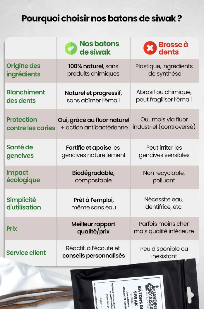 Bâtons de siwak sothiou nep nep bio sosouek souak meswak ou bâton d’arak bio et naturel tableau