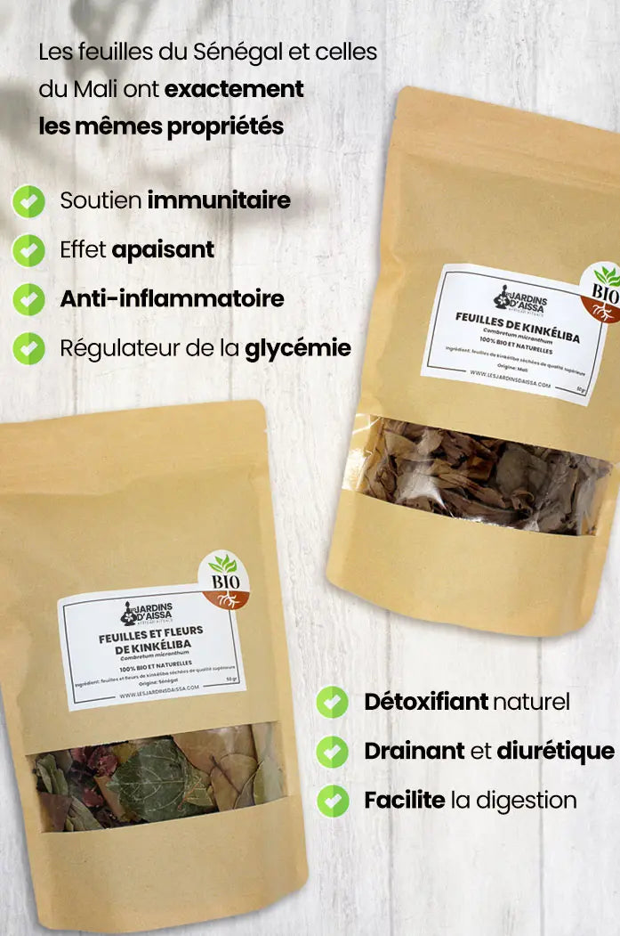Feuilles et fleurs de kinkéliba sénégal mali combretum micranthum bio et naturel non traitées Qualité Supérieure bienfaits