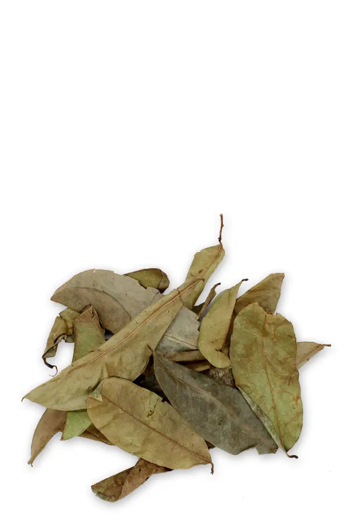 Feuilles de Corossol Séchées Bio : Bienfaits, Infusion et Qualité Supérieure details