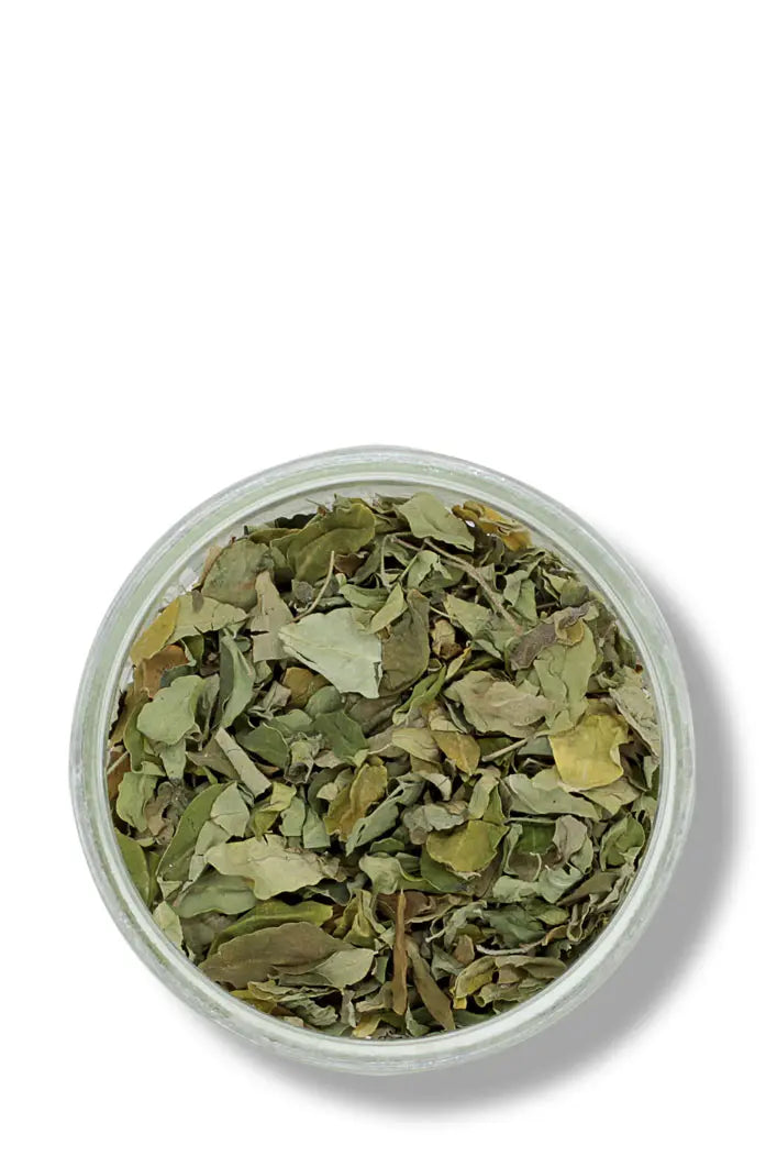 feuilles de Moringa Nébéday 100% Bio et Naturelle de Qualité Supérieure 30 gr feuilles