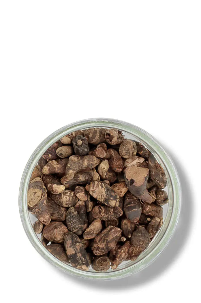 Graines de Gowé Gueni bio et naturelle graines detail