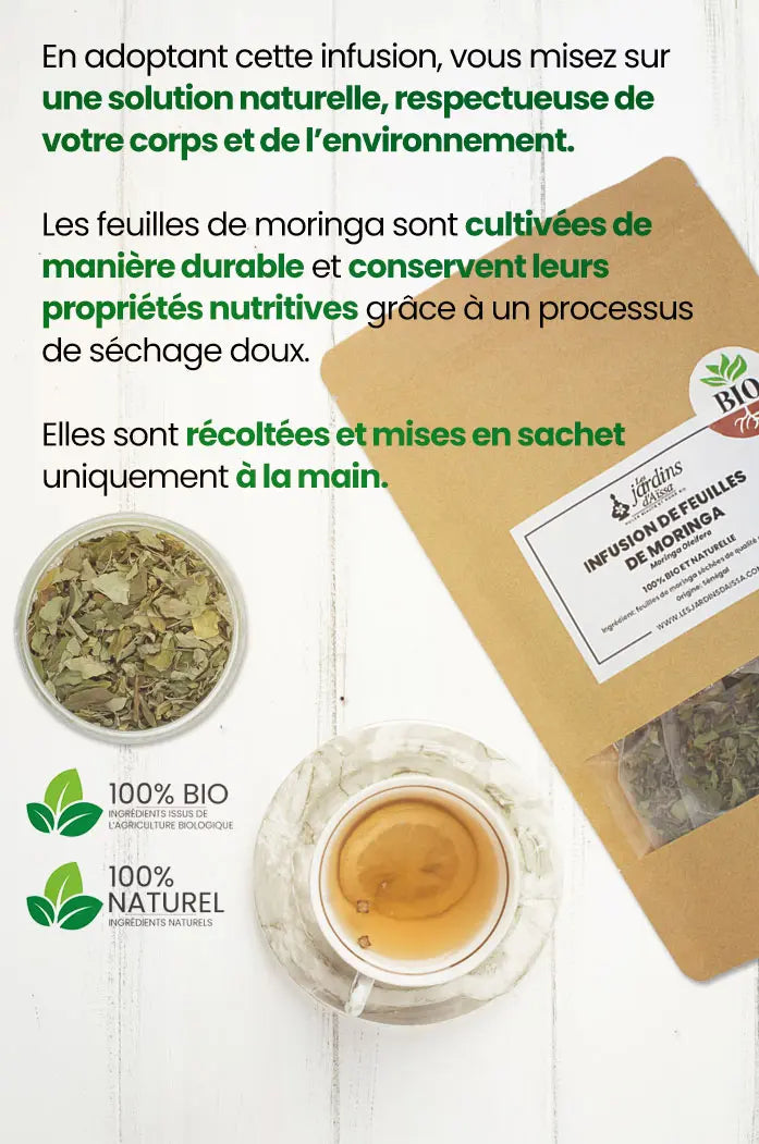 infusion de feuilles de moringa bio et naturelle les jardins d'aissa nature