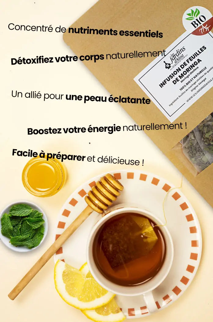 infusion de feuilles de moringa bio et naturelle les jardins d'aissa bienfaits